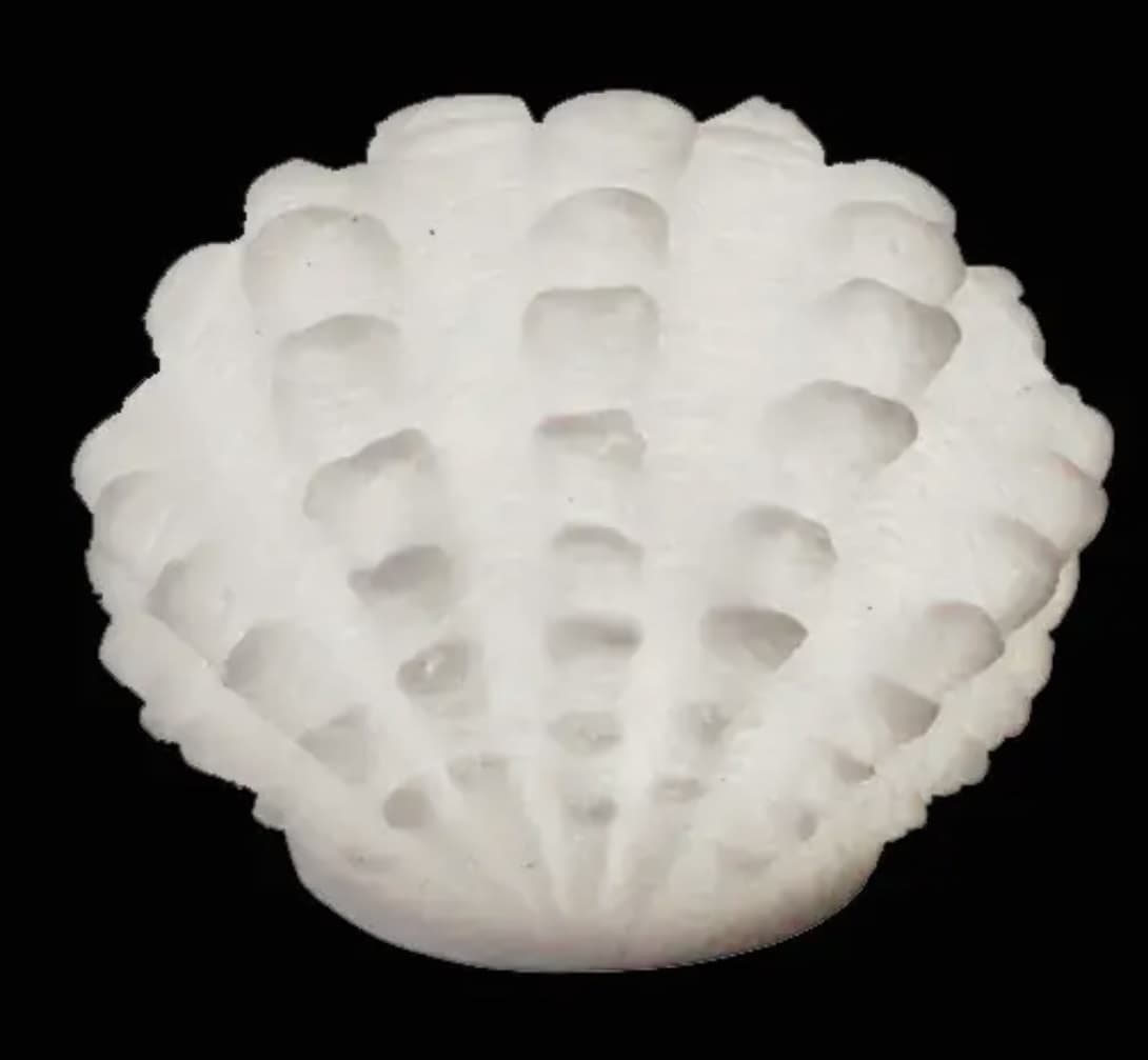 Maxima Clam Shell Accent Light - Battery Operated with Timer