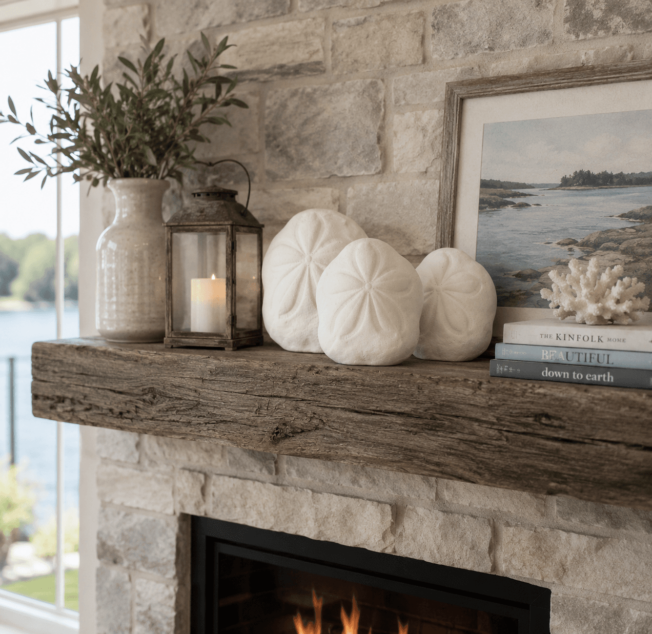 Sand Dollar Sea Biscuit Shells