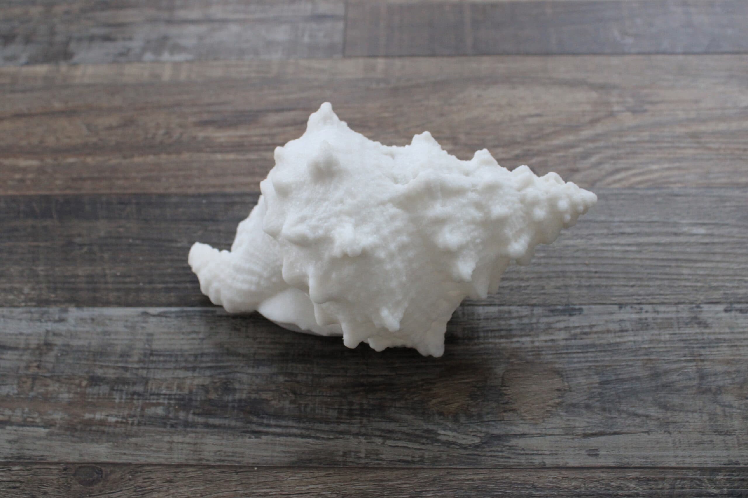 Conch Shell Accent Light - Battery Operated with Timer