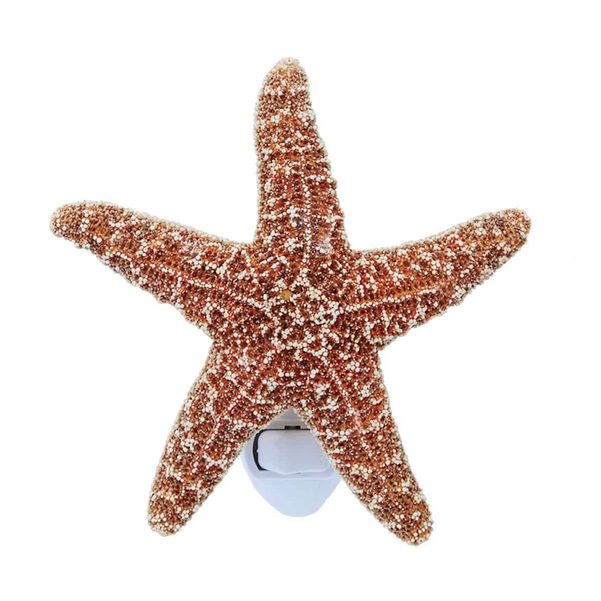 Sugar Starfish Sea Shell Night Light