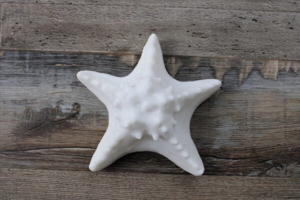 Starfish Accent Light - Battery Operated with Timer