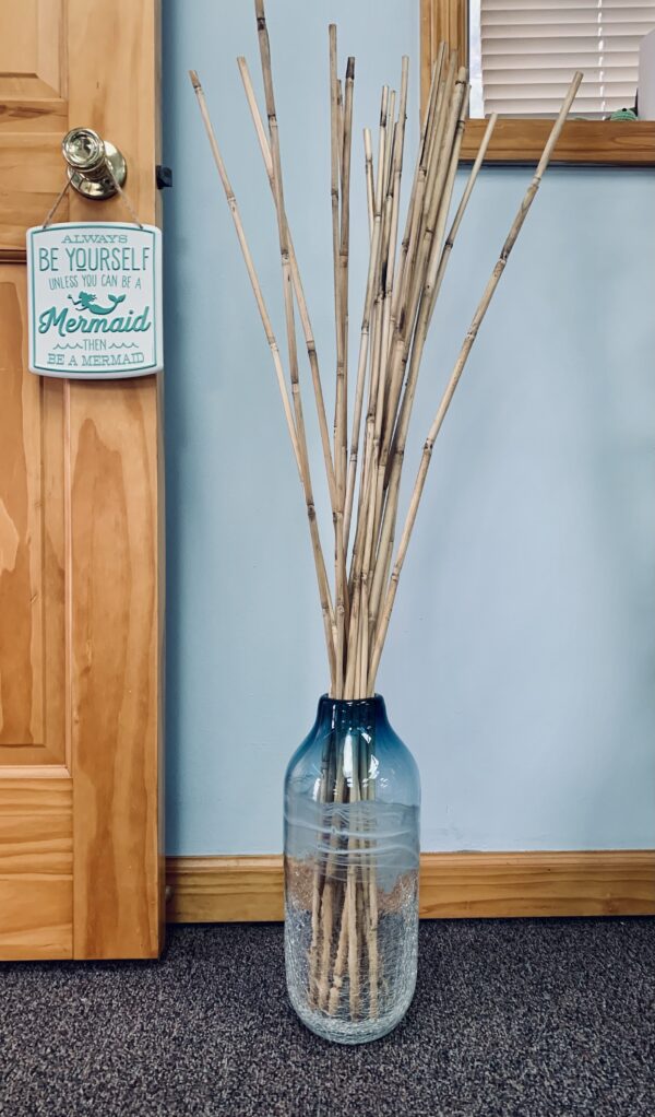 Individual Bamboo Sticks - Natural (40in)