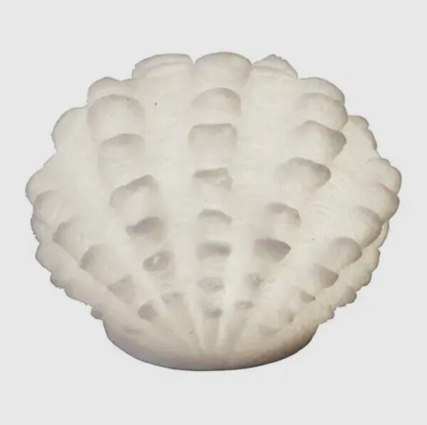 Maxima Clam Shell Accent Light– Bty Operated - Image 3
